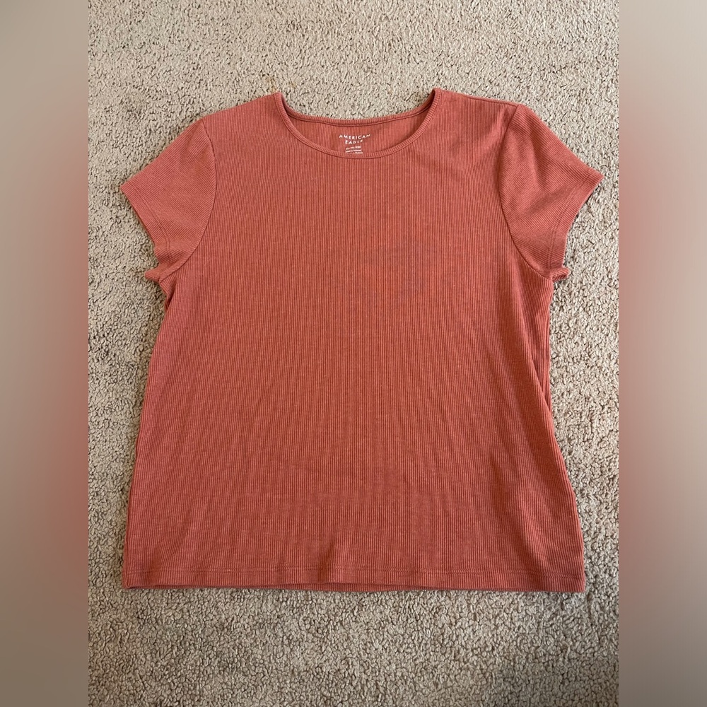NWOT Burnt Orange Ribbed Baby Tee